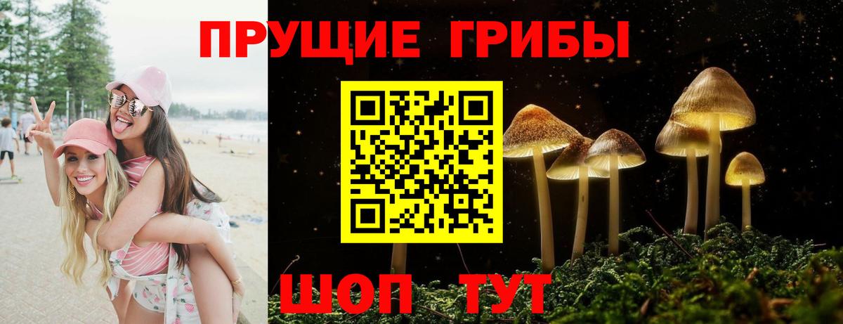 Псилоцибиновые грибы ЛСД  Псилоцибиновые грибы MAGIC MUSHROOMS  Вход с VPN  Орск 