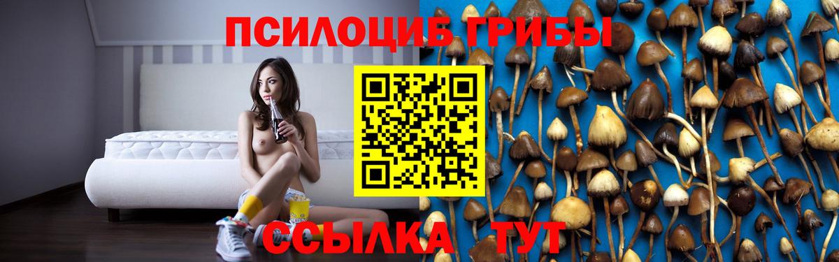 Галлюциногенные грибы MAGIC MUSHROOMS Орск